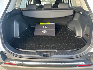 Toyota RAV4 Team Deutschland+ Technik Paket Hybrid 4x2 Deutschland - bilder 10