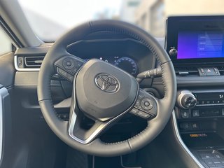 Toyota RAV4 Team Deutschland+ Technik Paket Hybrid 4x2 Deutschland - bilder 15