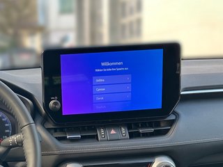 Toyota RAV4 Team Deutschland+ Technik Paket Hybrid 4x2 Deutschland - bilder 16