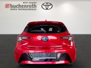 Toyota Corolla Hybrid 1.8 Team D Tech.Pak.+Allwetterräder - bilder 6