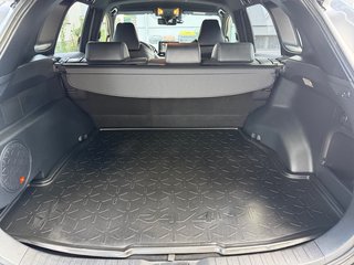 Toyota RAV4 Hybrid 4x4 Style Selection+WKR - bilder 16