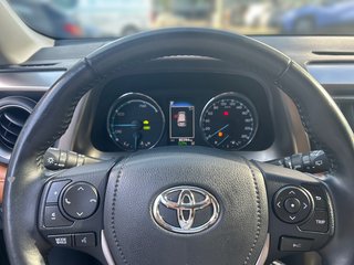 Toyota RAV4 Hybrid + WKR + AHK - bilder 17