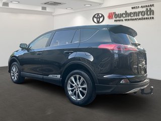 Toyota RAV4 Hybrid + WKR + AHK - bilder 7