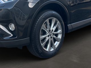 Toyota RAV4 Hybrid + WKR + AHK - bilder 9