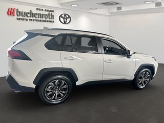 Toyota RAV4 Hybrid 4x4 Team D+Leder - bilder 4