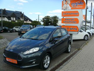 Ford Fiesta Gebrauchtwagen Kaufen