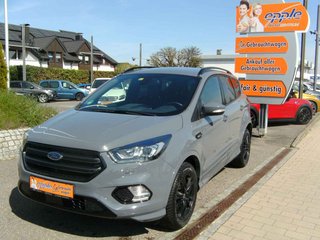 Ford Kuga Gebrauchtwagen Kaufen