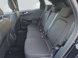 Ford Kuga TITANIUM 2.5 FHEV *Ganzjahresreifen* - bilder 6