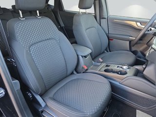 Ford Kuga TITANIUM 2.5 FHEV *Ganzjahresreifen* - bilder 7
