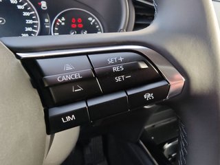 Mazda CX-30 e-SKYACTIVE X 186 Aut. HOMURA - bilder 10