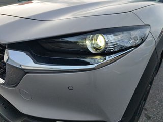 Mazda CX-30 e-SKYACTIVE X 186 Aut. HOMURA - bilder 15