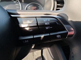 Mazda 3 e-SKYACTIV-X 186 M HYBRID NAGISA - bilder 11
