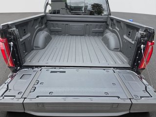 Ford F-150 5,0L V8 Black Edition Lariat MJ 2025 - bilder 8