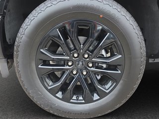 Ford F-150 5,0L V8 Black Edition Lariat MJ 2025 - bilder 9