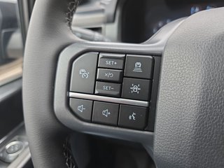 Ford F-150 5,0L V8 Black Edition Lariat MJ 2025 - bilder 15