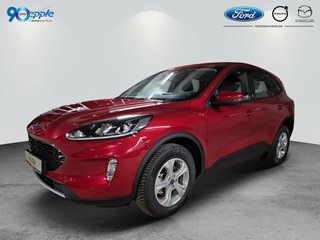 Ford Kuga Gebrauchtwagen Kaufen