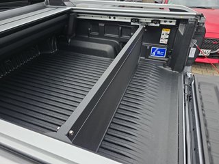 Ford Ranger 2.3 PHEV WILDTRAK *Laderaumrollo* - bilder 11