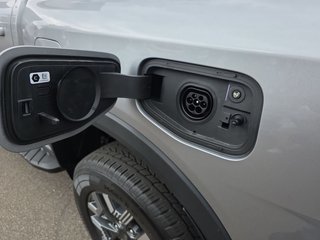 Ford Ranger 2.3 PHEV WILDTRAK *Laderaumrollo* - bilder 12