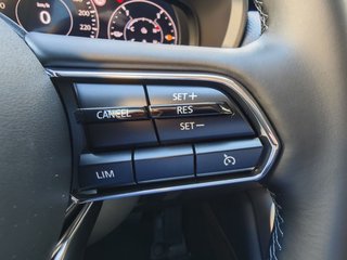 Mazda CX-60 AWD PHEV Aut. EXCLUSIVE-LINE - photo 10