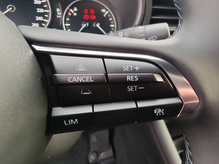 Mazda 3 e-SKYACTIV-X 186 M HYBRID HOMURA - photo 11