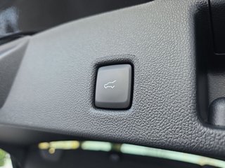 Ford Kuga 2.5 PHEV ST-LINE X Plug-In AHK/20 Zoll - bilder 12