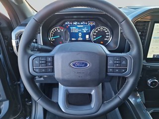 Ford F-150 5,0L V8 XLT LPG-Umrüstung - bilder 2