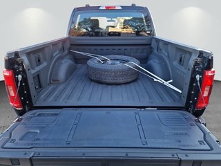 Ford F-150 5,0L V8 XLT LPG-Umrüstung - bilder 8