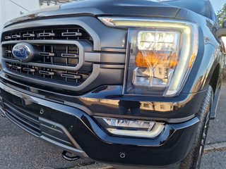 Ford F-150 5,0L V8 XLT LPG-Umrüstung - bilder 10
