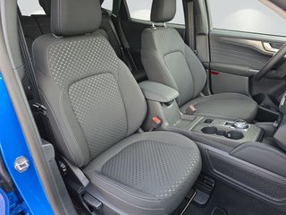 Ford Kuga TITANIUM 2.5 FHEV *Ganzjahresreifen* - bilder 7