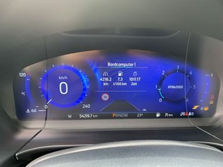Ford Kuga 2.0 EcoBlue 4x4 Auto ST-LINE X,LED,NAVI - bilder 8