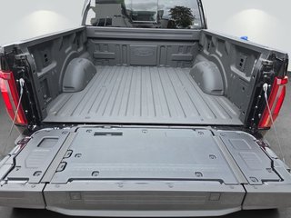 Ford F-150 5,0L V8 Black Edition Lariat MJ 2025 - photo 8