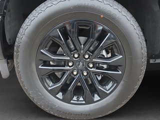 Ford F-150 5,0L V8 Black Edition Lariat MJ 2025 - photo 9