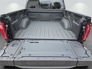 Ford F-150 5,0L V8 Black Edition Lariat MJ 2025 - photo 8