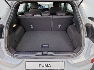 Ford Puma ST-LINE 1.0 MHEV *GANZJAHRESREIFEN* - photo 8