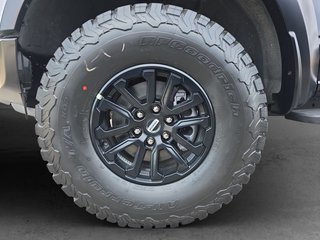Ford F-150 RAPTOR MY 2025 3.5L EcoBoost - photo 9