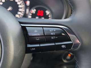 Mazda 3 e-SKYACTIV-G 140 M HYBRID Aut. HOMURA - photo 11