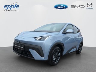 BYD Dolphin Neuwagen Kaufen