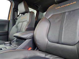 Ford Ranger 3,0 D V6 Wildtrak Doppelkabine - bilder 12
