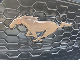 Ford Mustang GT Convertible 5.0 V8 GT Bronce-Styling - photo 11