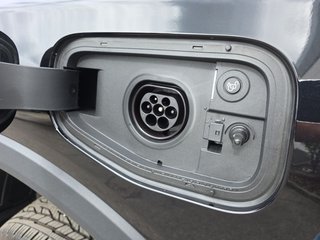 Ford Ranger 2.3 PHEV WILDTRAK *Laderaumrollo* - photo 10