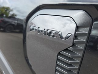 Ford Ranger 2.3 PHEV WILDTRAK *Laderaumrollo* - photo 13