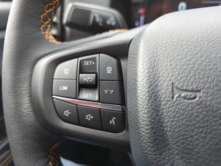 Ford Ranger 2.3 PHEV WILDTRAK *Laderaumrollo* - photo 15
