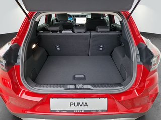 Ford Puma TITANIUM Kamera/PDC/Ganzjahresreifen - bilder 8