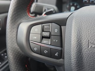 Ford Ranger RAPTOR 3,0 l EcoBoost *Raptor-Paket* - bilder 13