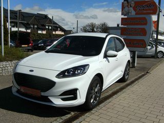 Ford Kuga Gebrauchtwagen Kaufen