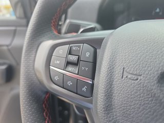 Ford Ranger RAPTOR 2.0 EcoBlue Diesel Raptor-Paket - bilder 13