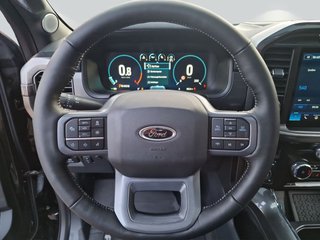 Ford F-150 LARIAT 5.0 V8 Black Edition deutsches Modell - bilder 2