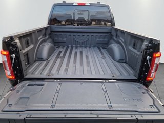 Ford F-150 LARIAT 5.0 V8 Black Edition deutsches Modell - bilder 8