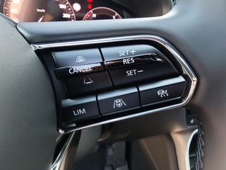 Mazda CX-60 e-SKYACTIV-D 254 M HYBRID AWD HOMURA PLUS - bilder 11