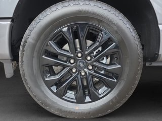 Ford F-150 5,0L V8 Black Edition Lariat MJ 2025 - foto 9